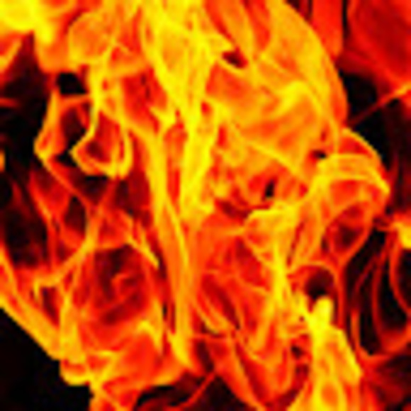 Meet your Posher, Kate - Picture 1 of 1